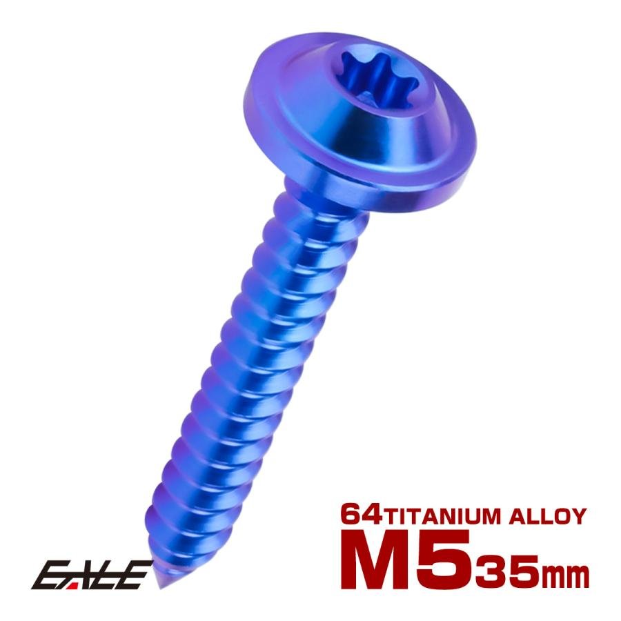 タッピングネジ M5×35mm チタン トルクス穴 フランジ付き ビス ブルー