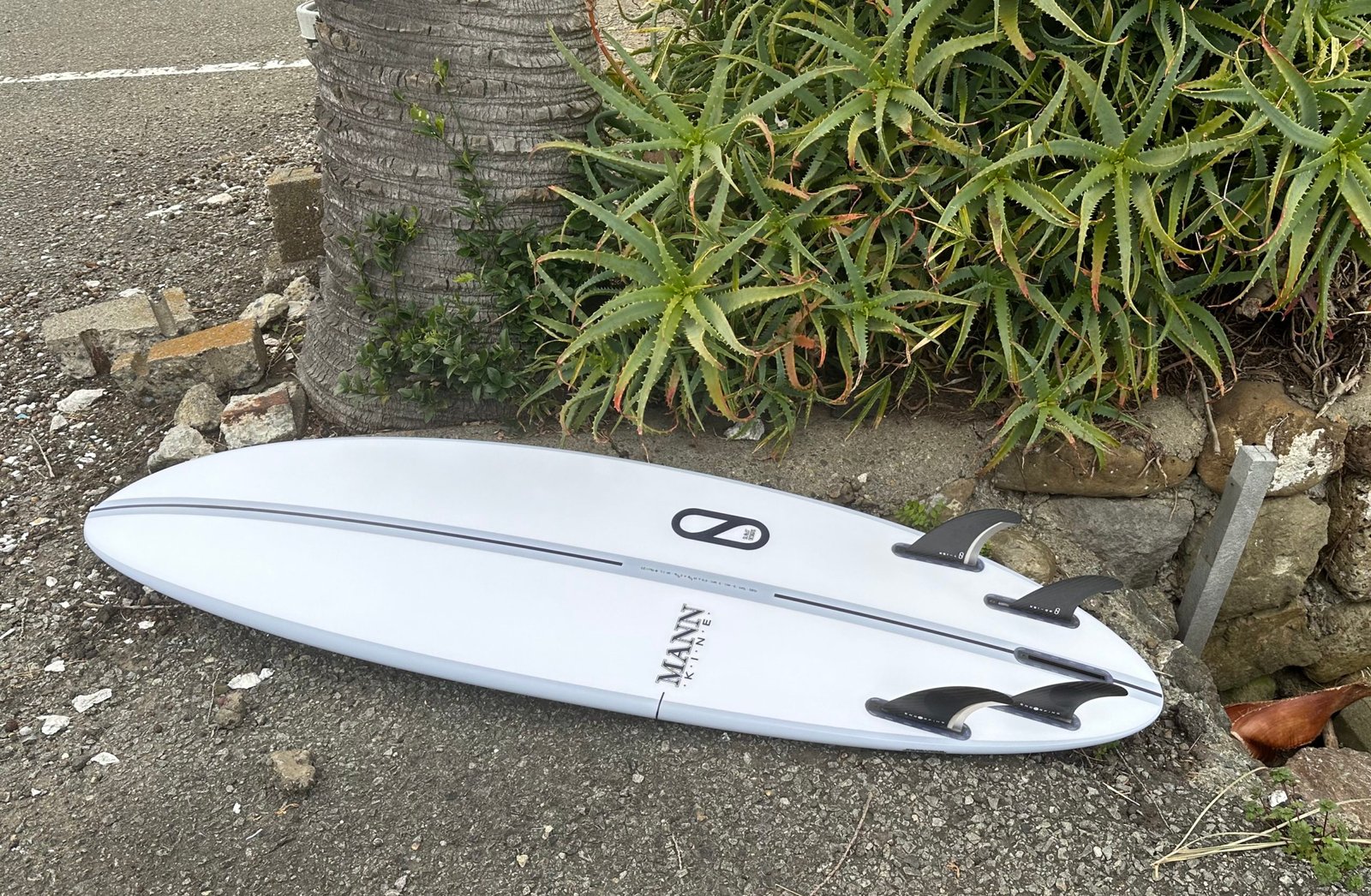 ケリースレーターのS BOSS | MOANA COASTAL SERVICE